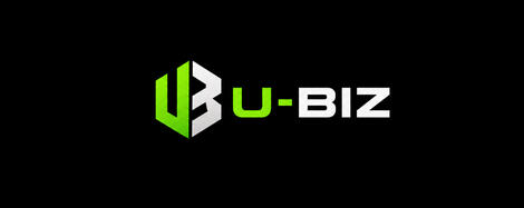 BUSINESS FORMATION BUSINESS FORMATION